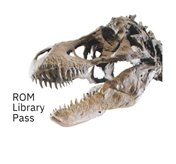 ROM library pass #1 : Family Pass (2 adults and 2 children)